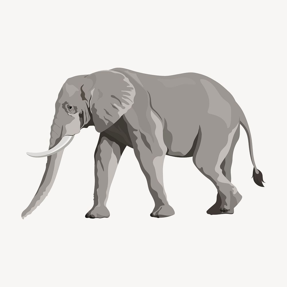 Elephant illustration clipart, safari wild animal