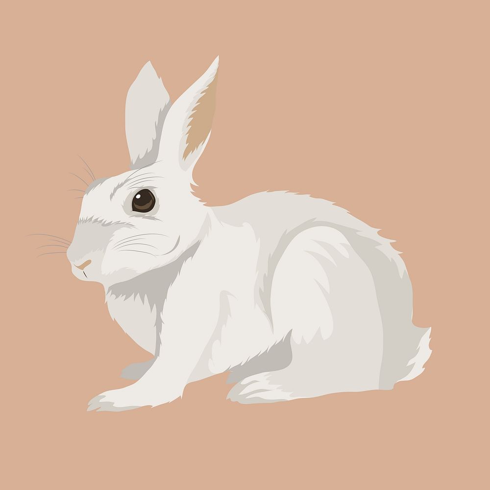 White rabbit illustration clipart illustration | Free Photo ...