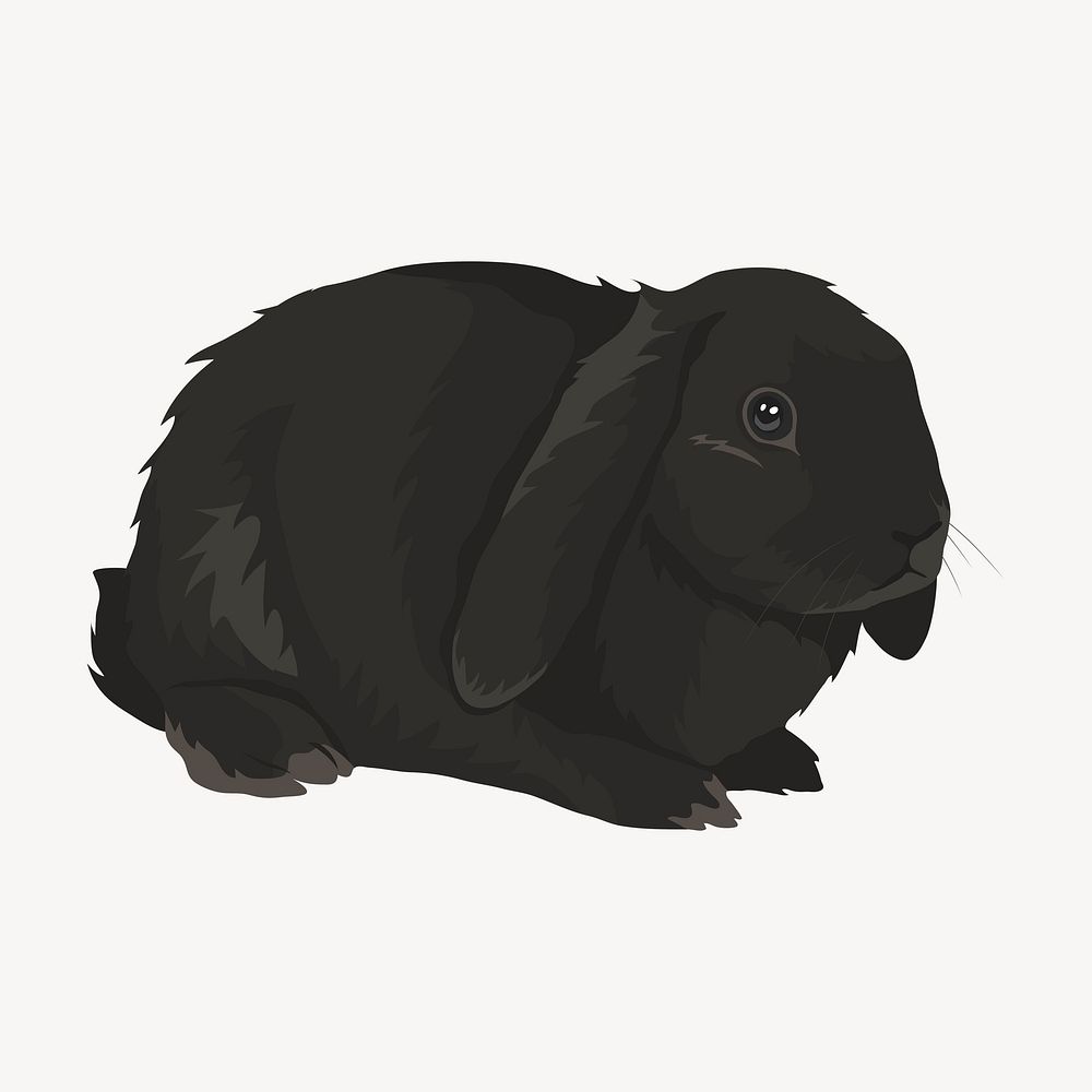 Pet bunny, black animal clipart illustration