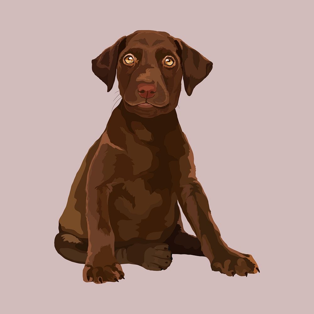 Brown puppy, labrador retriever, dog illustration clipart