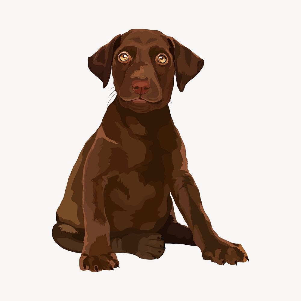 Cute puppy, labrador retriever. dog illustration clipart