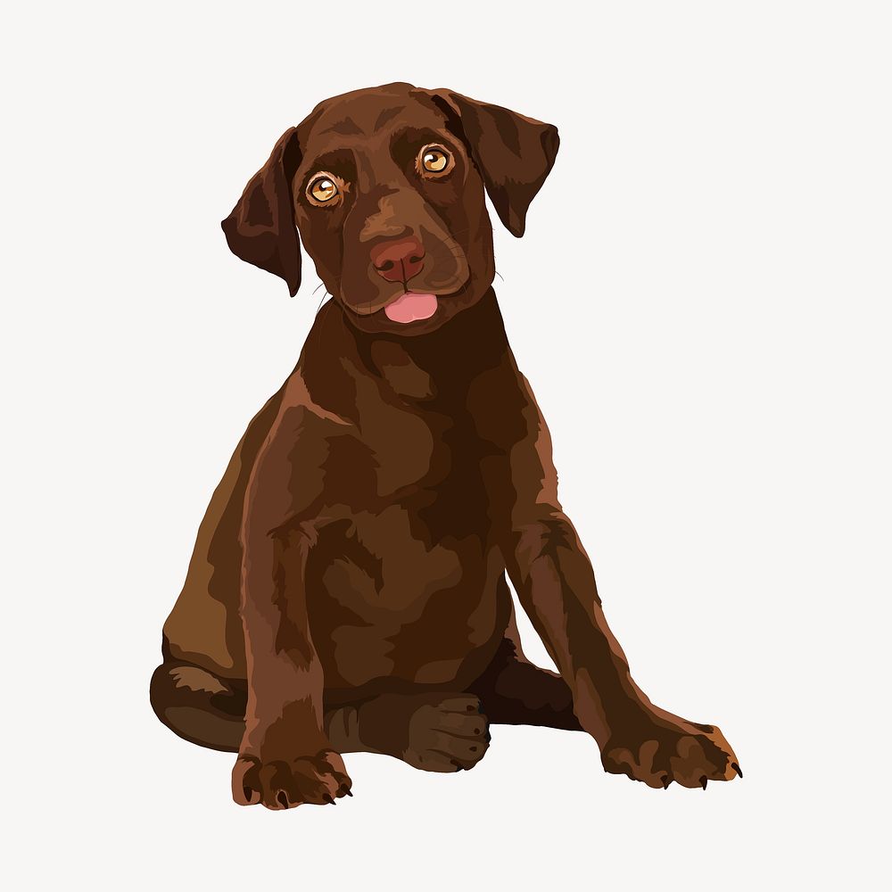 Brown puppy, labrador retriever, realistic dog illustration clipart