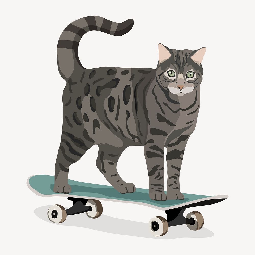 Cool cat, skateboard and silver | Free Photo Illustration - rawpixel