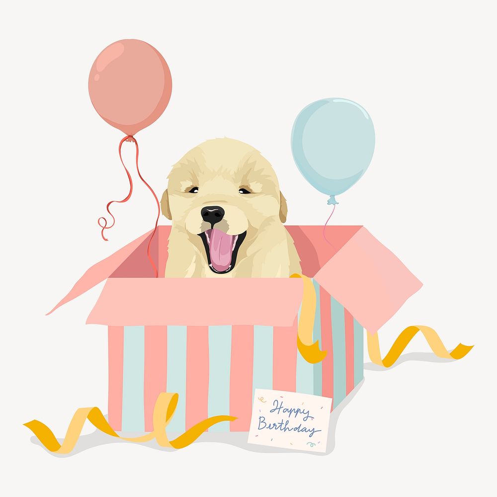 Birthday gift dog illustration, golden retriever puppy in a box