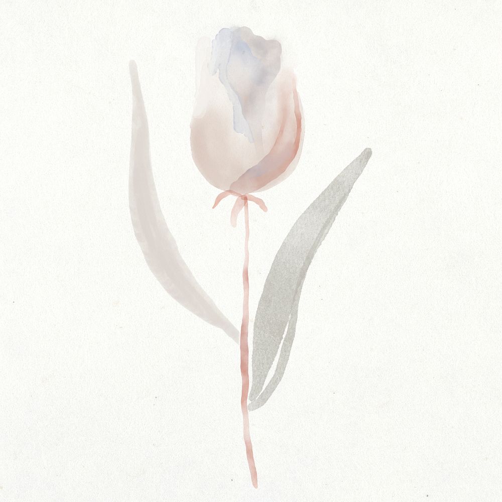 Tulip clipart, watercolor gray illustration psd