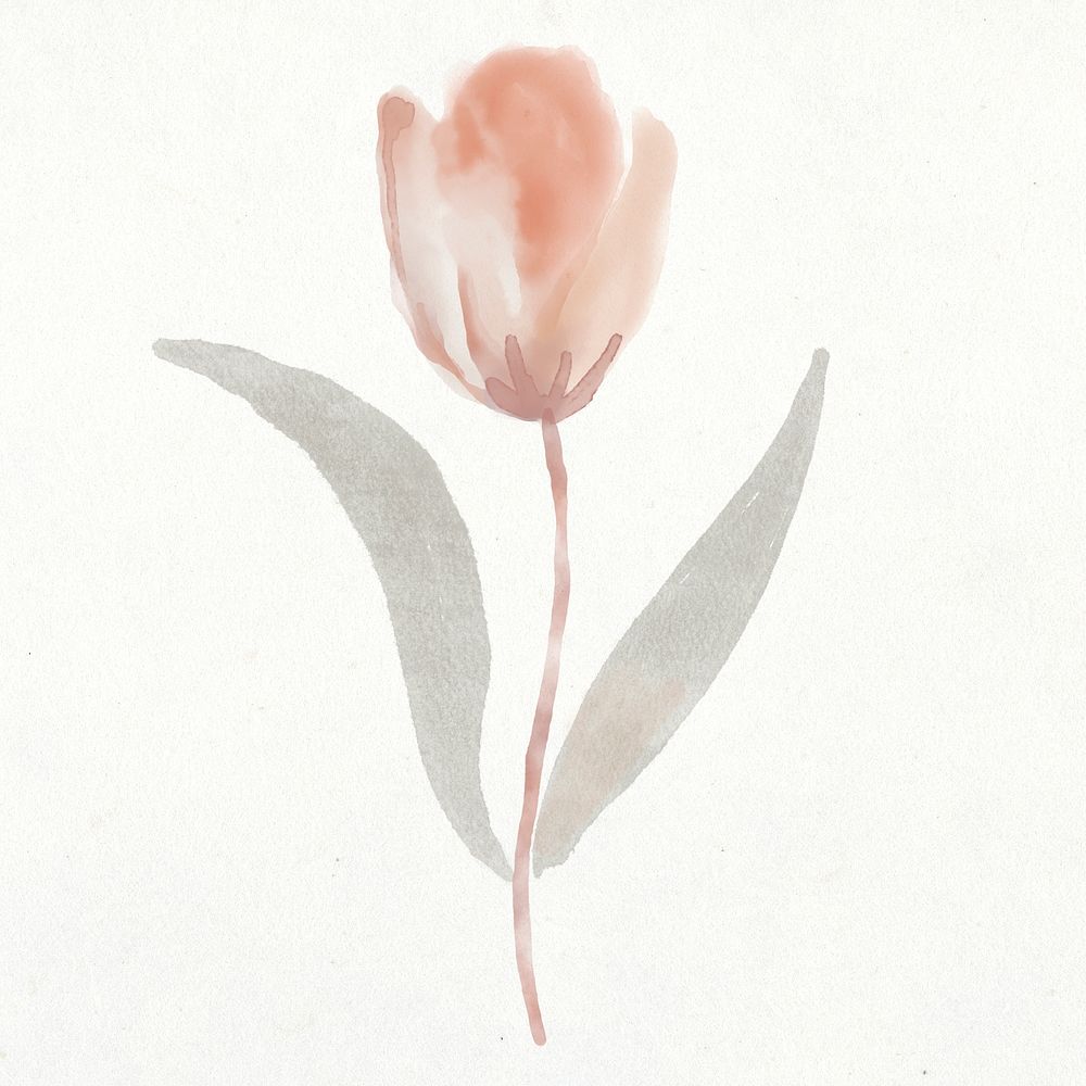 Tulip clip art, floral watercolor design