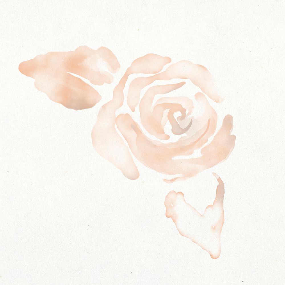 Rose sticker, floral watercolor design psd