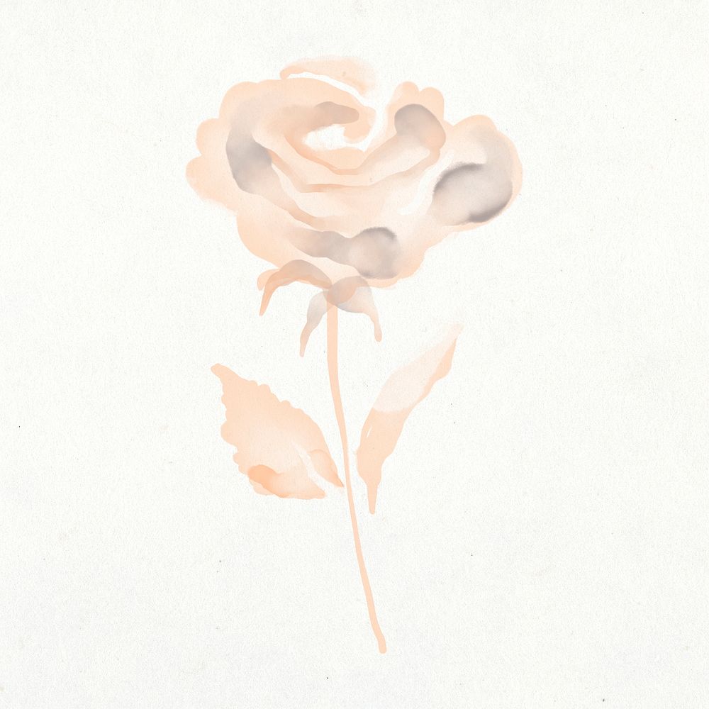 Rose clip art, floral watercolor design