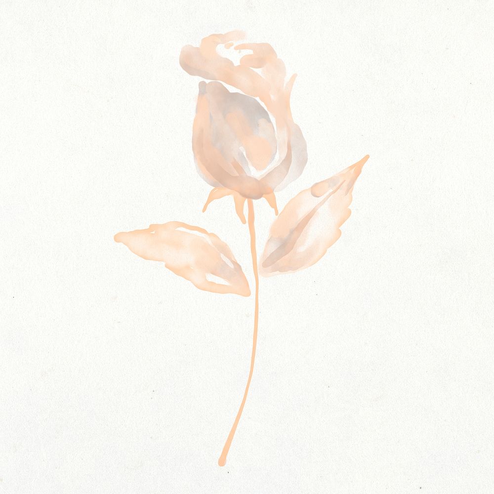 Rose clip art, floral watercolor design