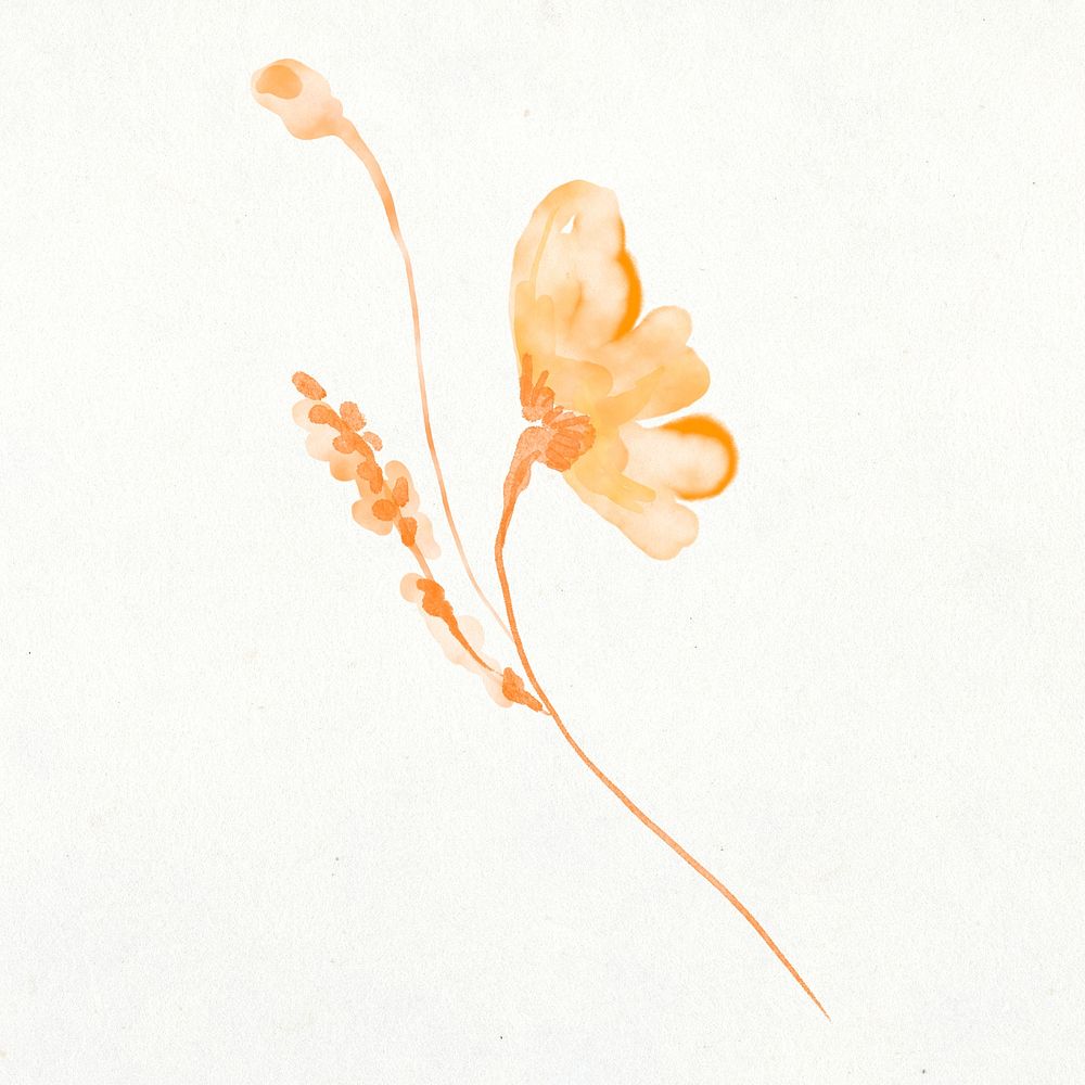 Flower clipart, watercolor orange illustration