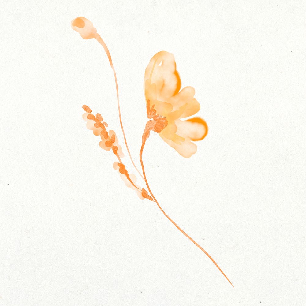 Orange flower sticker, floral watercolor design psd