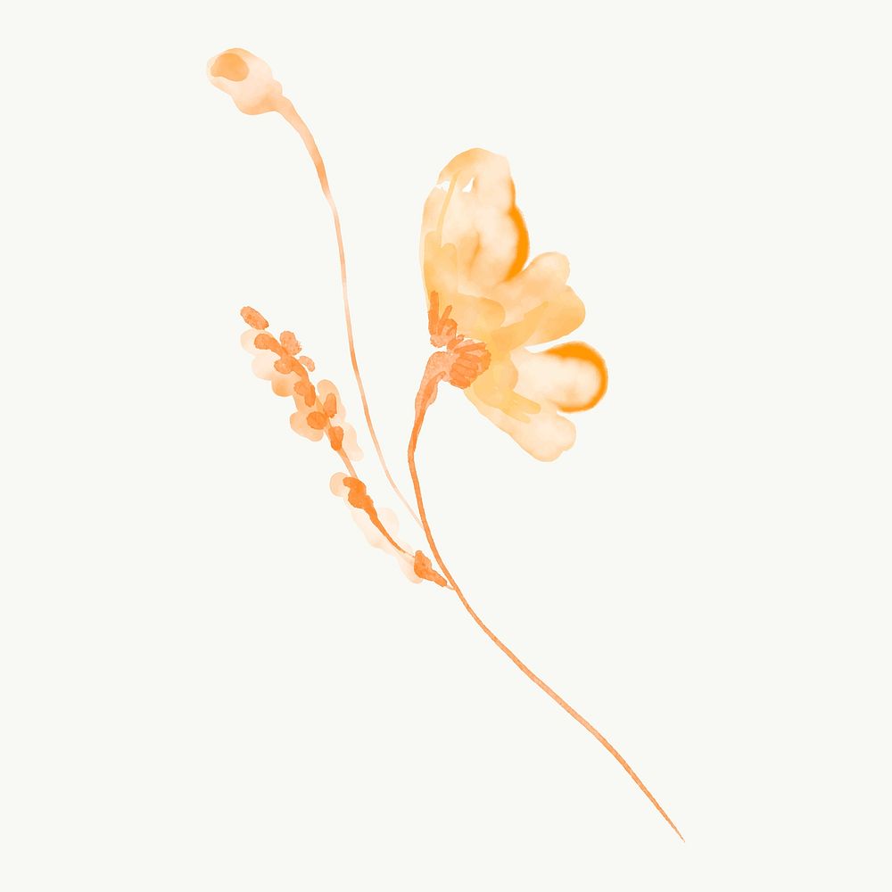 Floral png sticker, orange flower, nature watercolor illustration vector