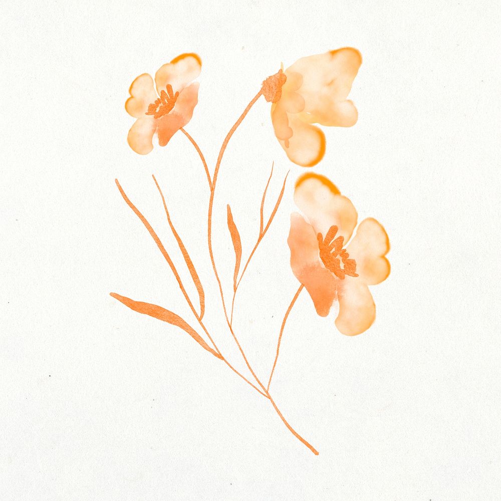 Flower clipart, watercolor orange illustration