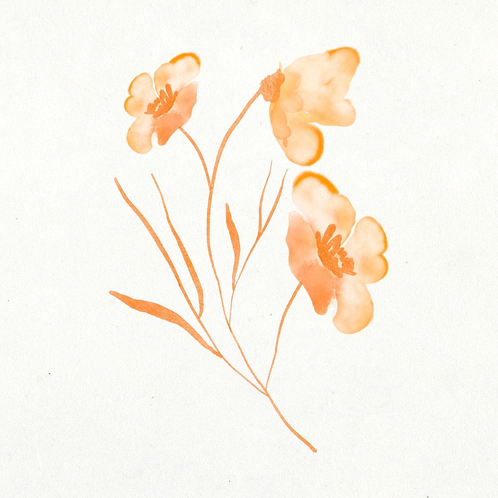 Orange flower sticker, floral watercolor design psd