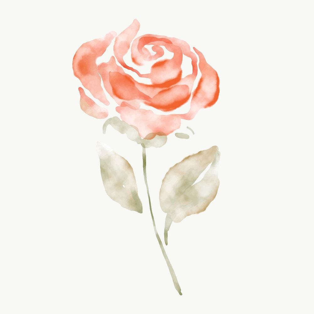Rose sticker, floral watercolor design vector