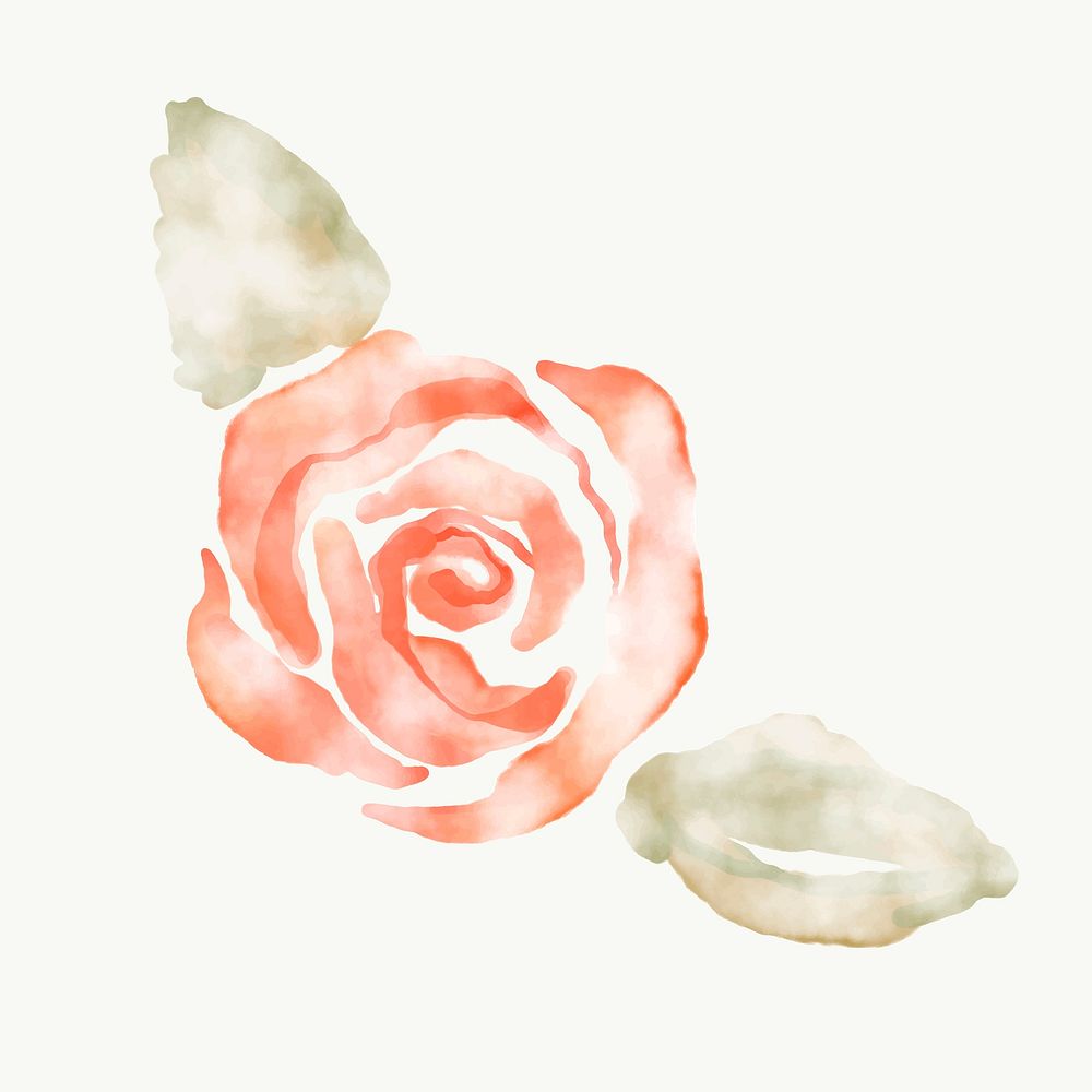 Rose sticker, floral watercolor design vector