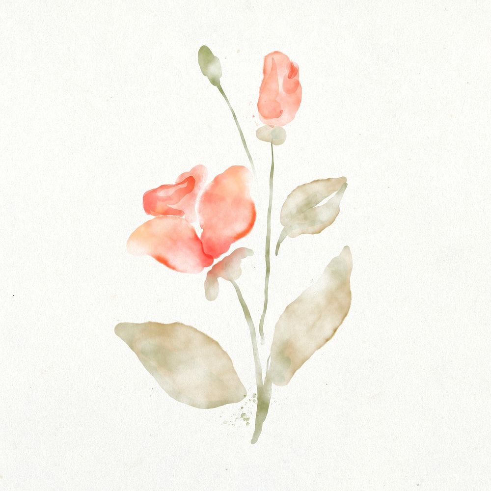 Orange rose sticker, floral watercolor design psd