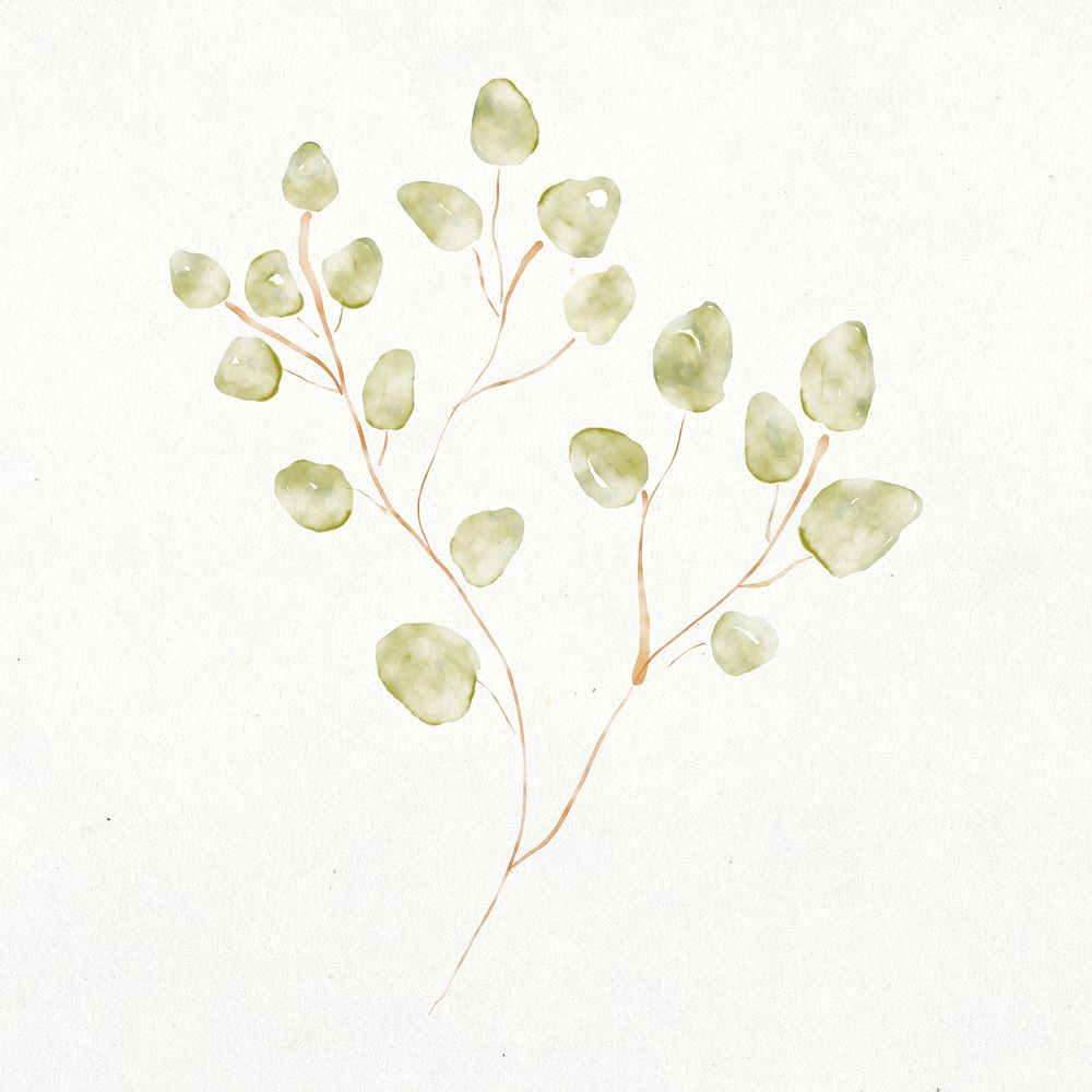 Botanical leaf illustration, green watercolor design