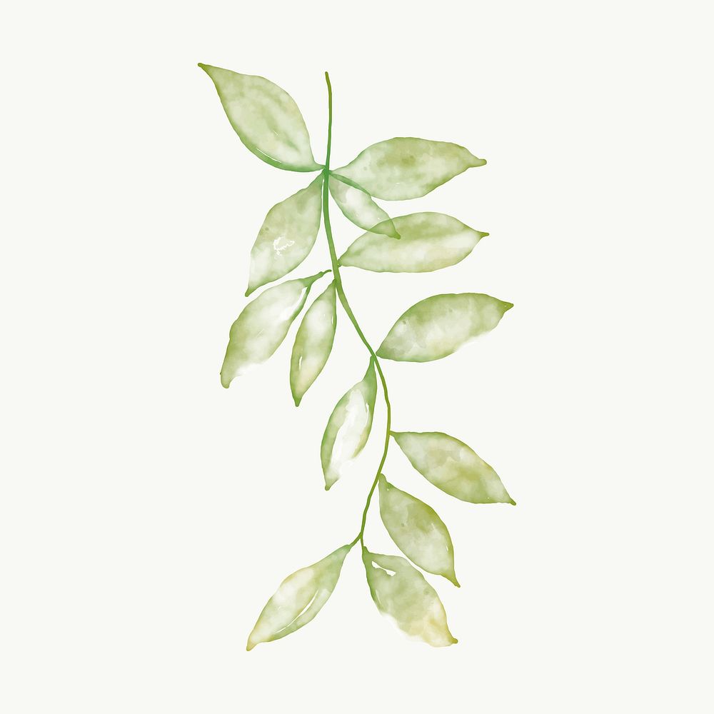 Green leaves sticker, botanical watercolor design vector