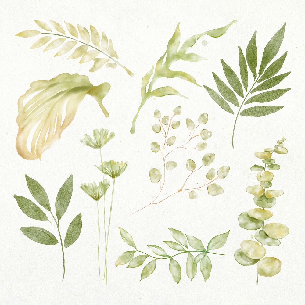 Green leaves sticker, botanical illustration psd set