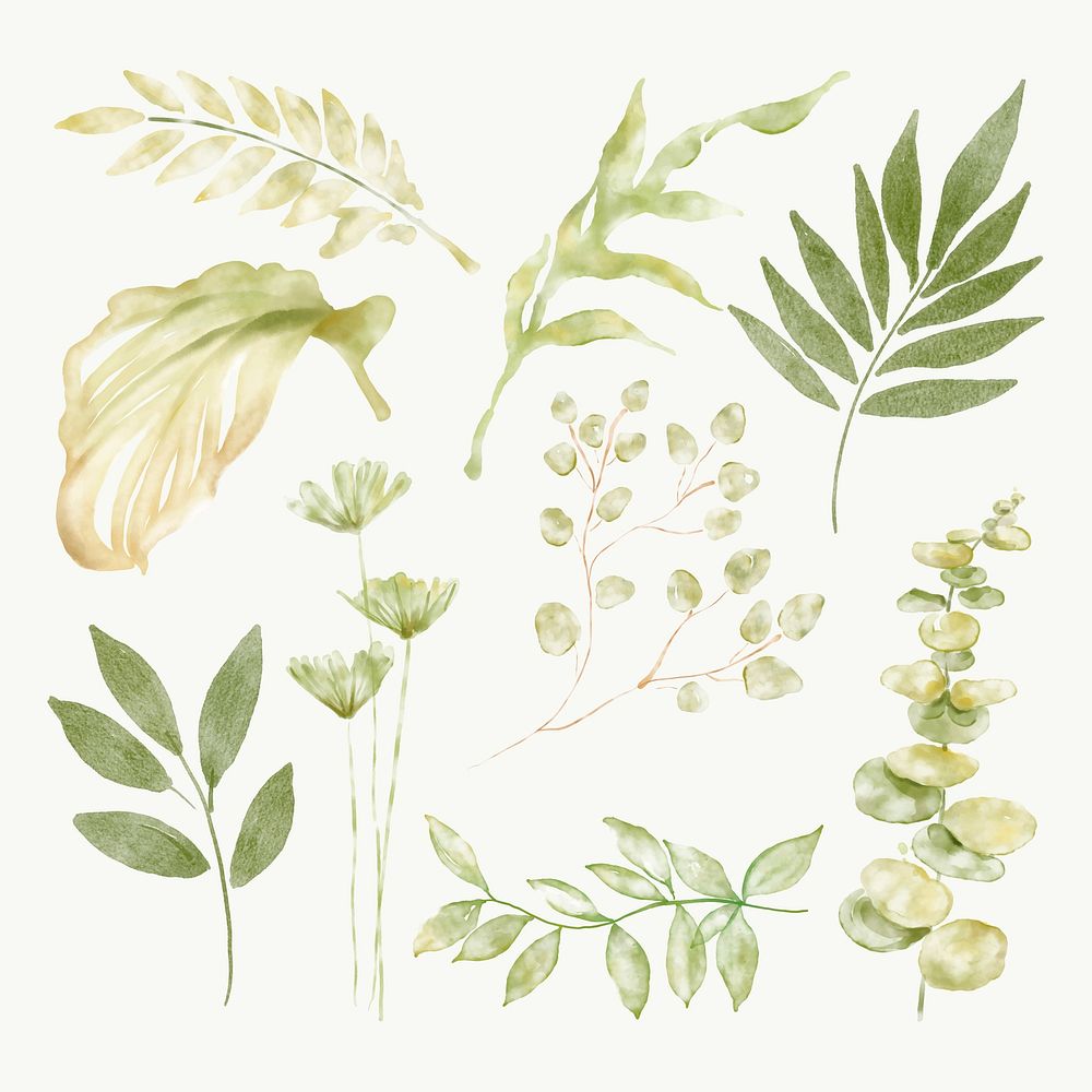 Green leaves sticker, botanical illustration vector set
