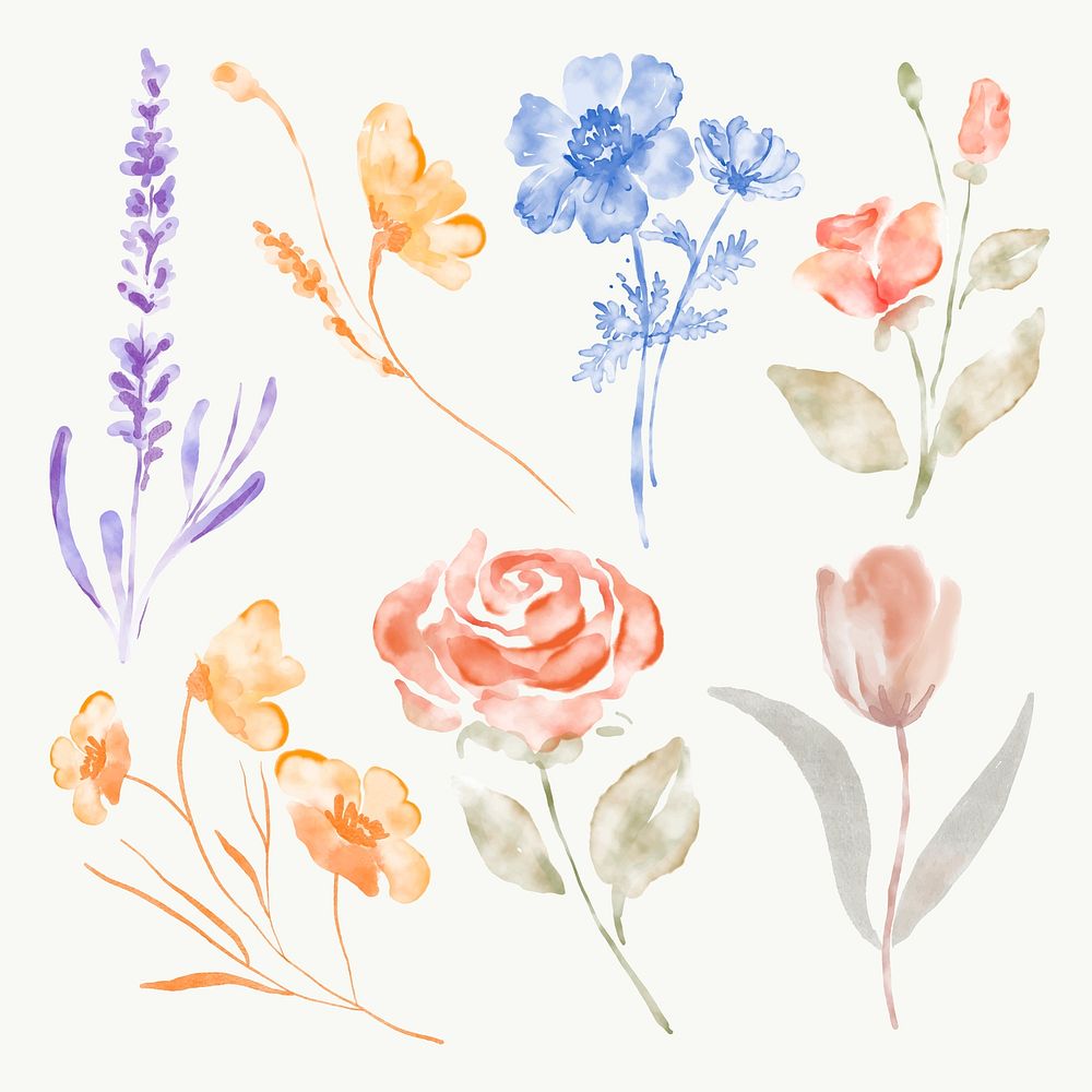 Flower sticker png, watercolor design vector set