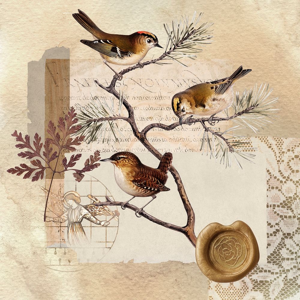 Vintage aesthetic ephemera collage, mixed media background featuring bird and wax seal psd