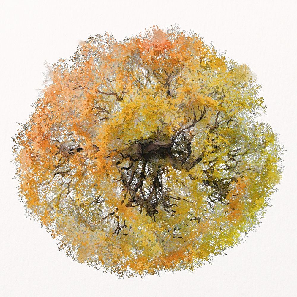 Autumn tree watercolor illustration isolated on white background, nature design psd