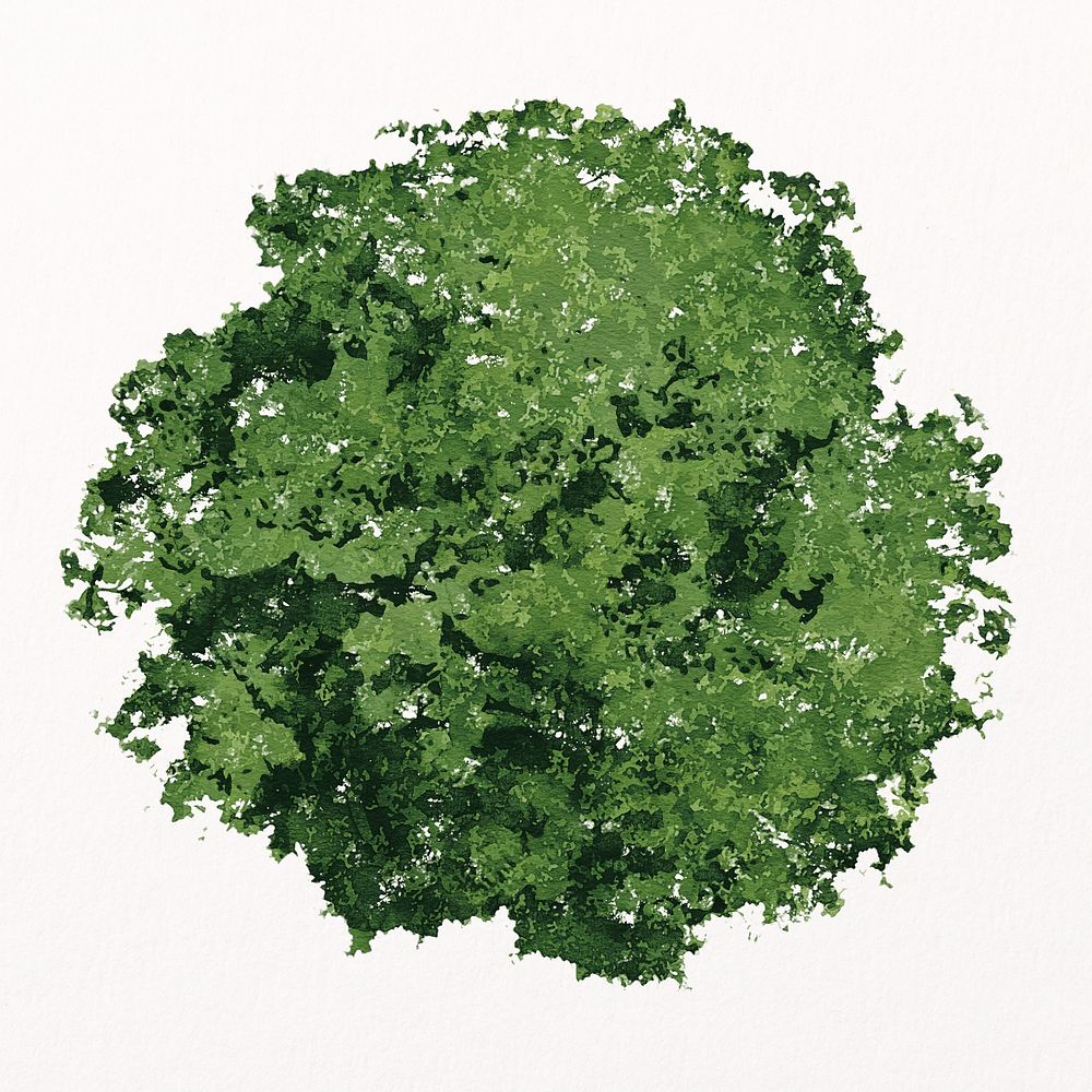 Green tree top view, watercolor illustration isolated on white background, nature design psd