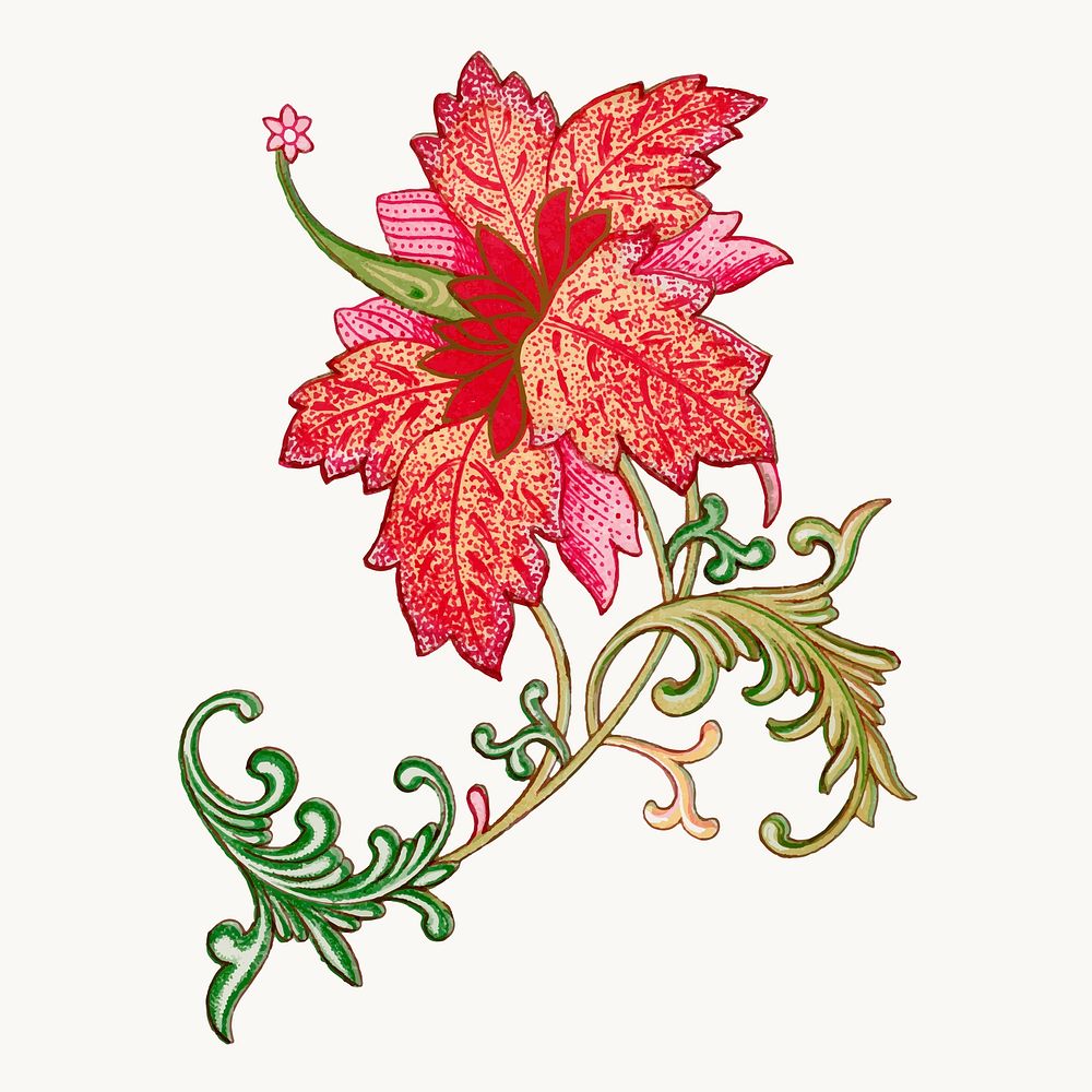 Hibiscus flower collage element, vintage Chinese aesthetic illustration vector