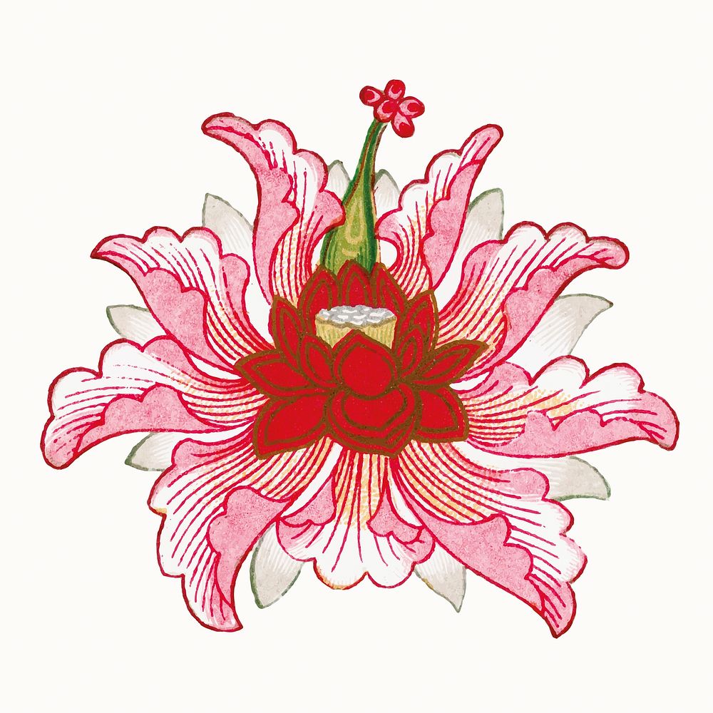 Flower illustration, vintage Chinese illustration vector