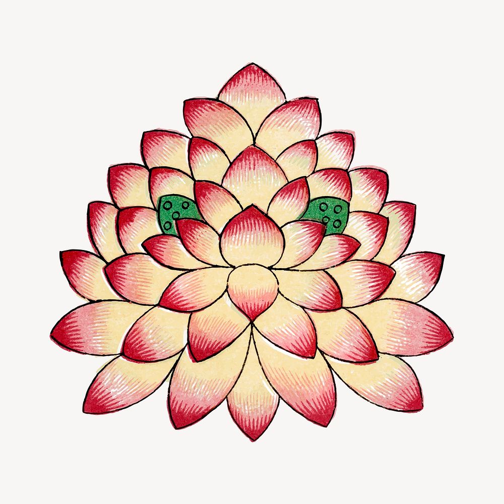 Lotus flower illustration, vintage Chinese aesthetic graphic vector