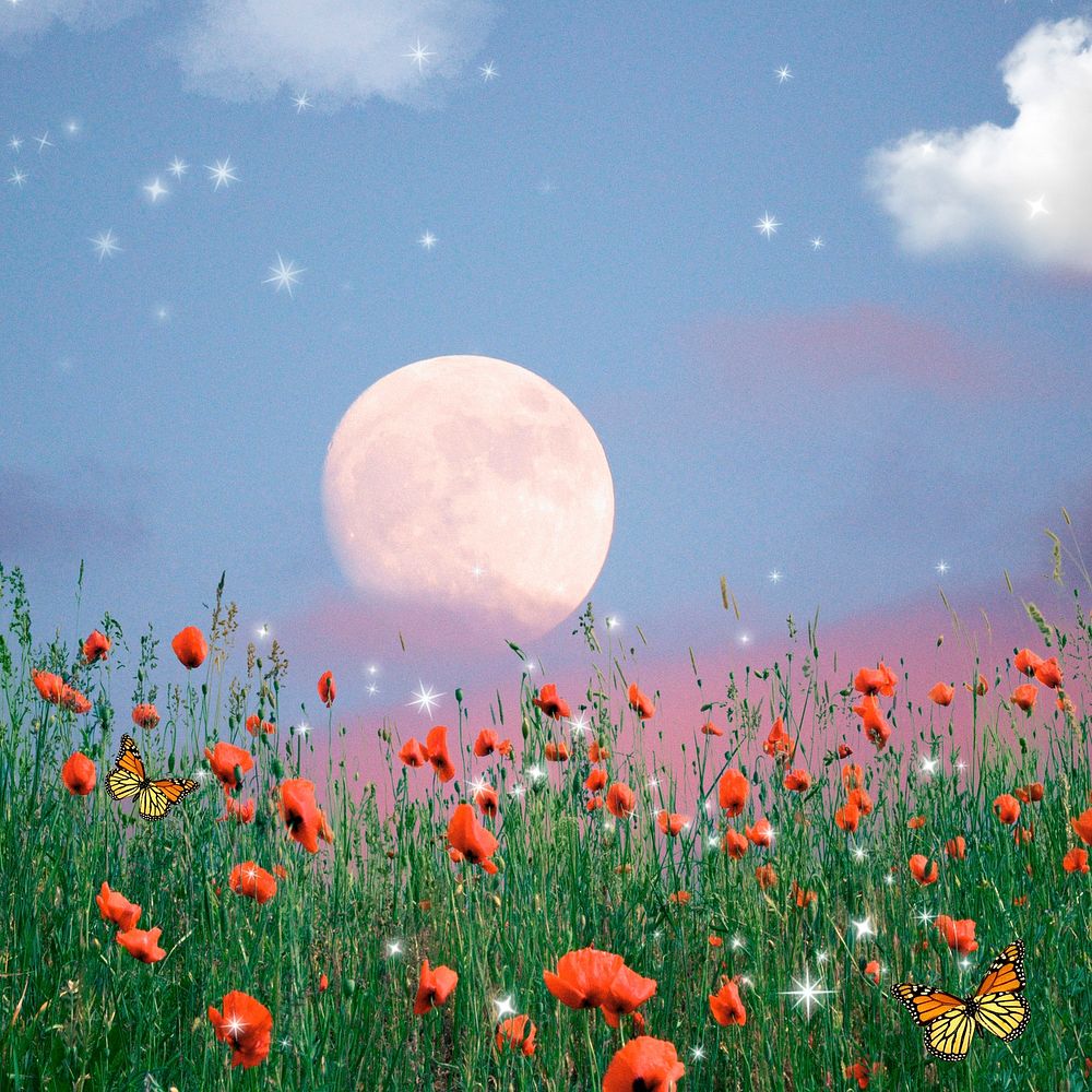 Red flower field background, moon bling pastel sky design