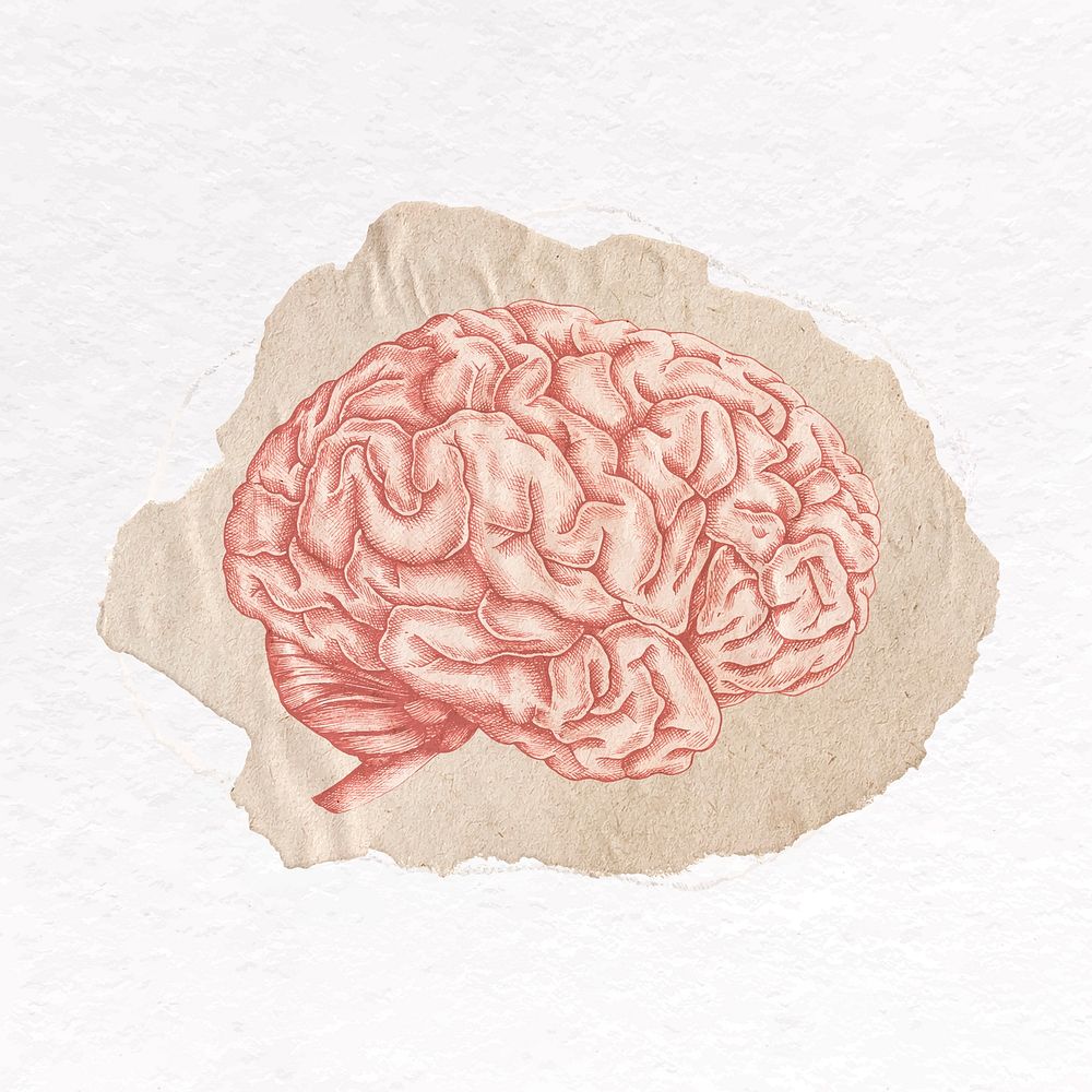 Brain clip art, ripped paper design vector