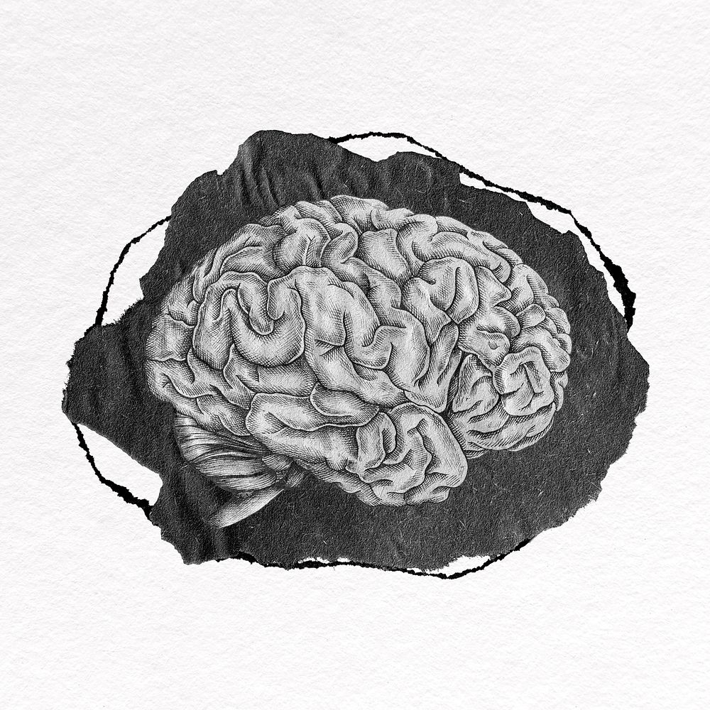 Brain clipart, gray ripped paper psd