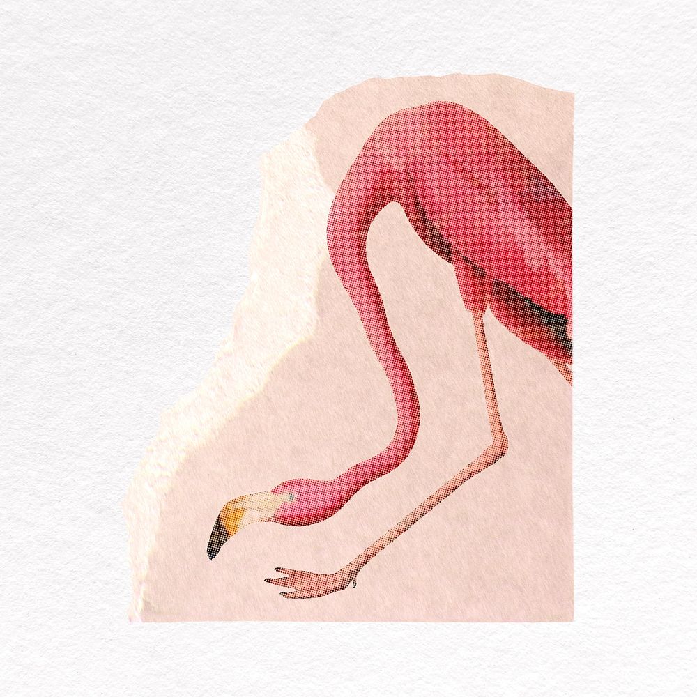 Flamingo clipart, animal ripped paper design