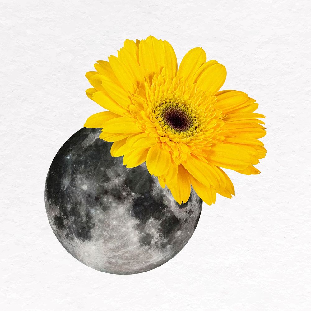 Moon collage element, yellow flower, astronomy mixed media design