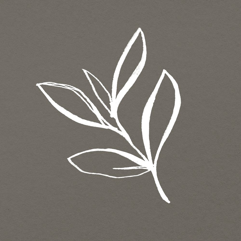 Leaf doodle clipart, minimal  design psd