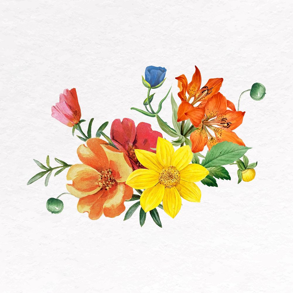 Flower bouquet clip art, botanical design vector