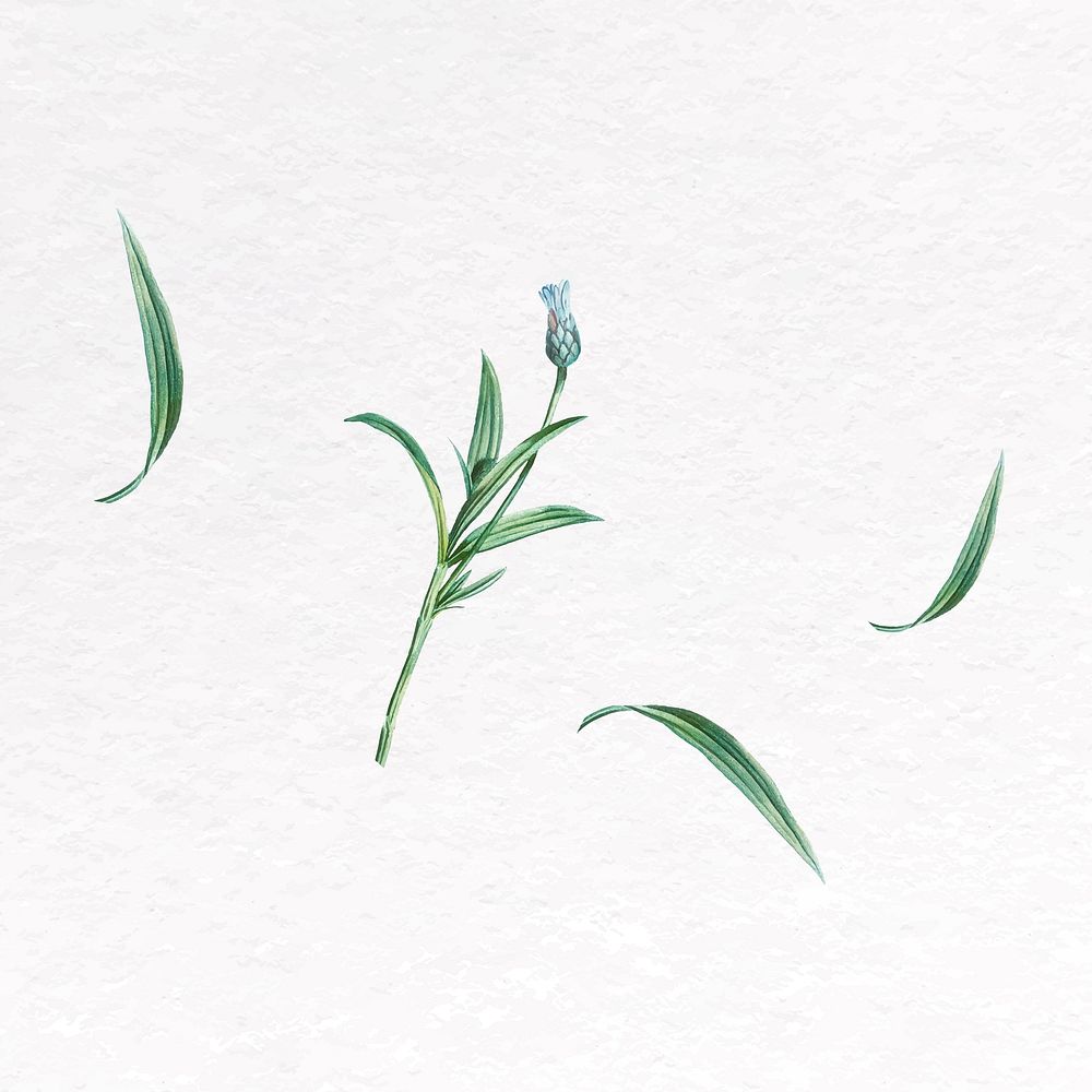 Blue flower clip art, botanical design vector