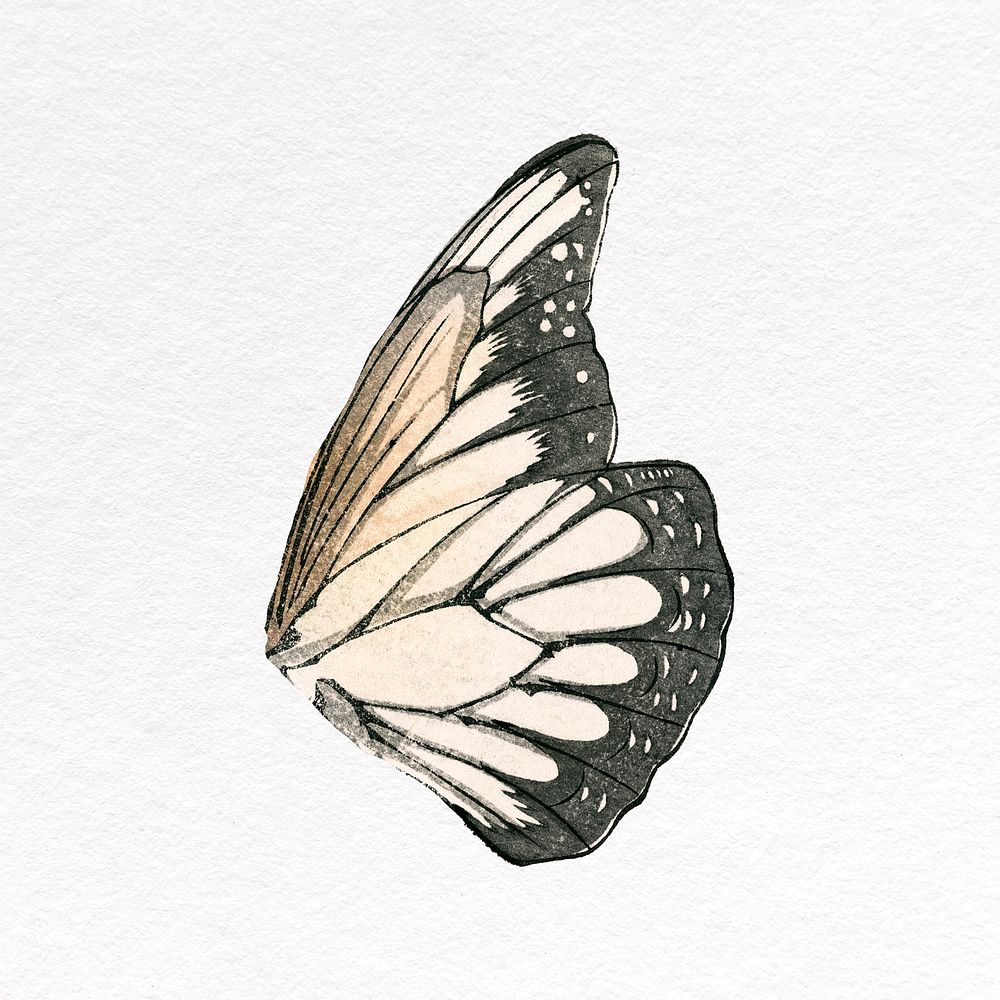 Butterfly wing collage element, beige | Premium PSD - rawpixel