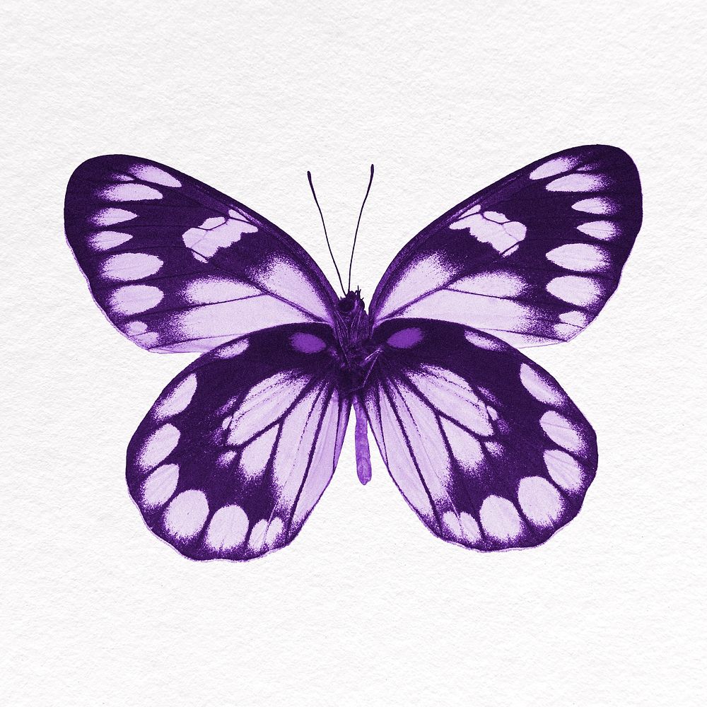 Purple butterfly collage element, insect psd