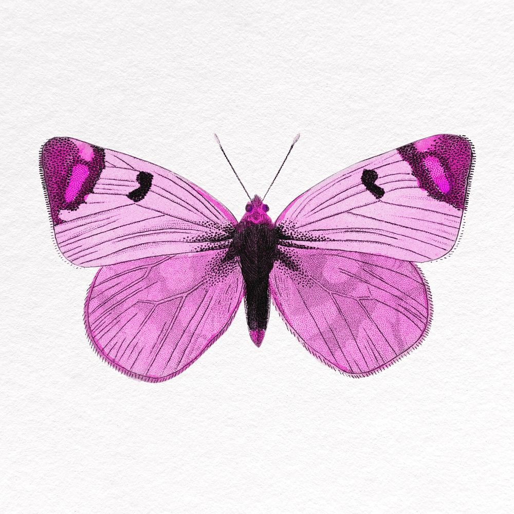 Pink butterfly collage element, insect psd