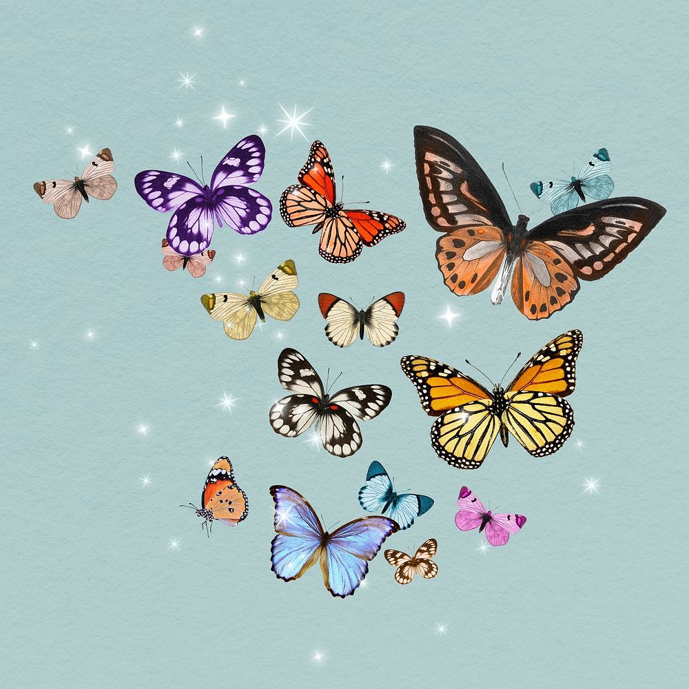 Colorful freedom butterflies clipart, insect | Premium Photo - rawpixel