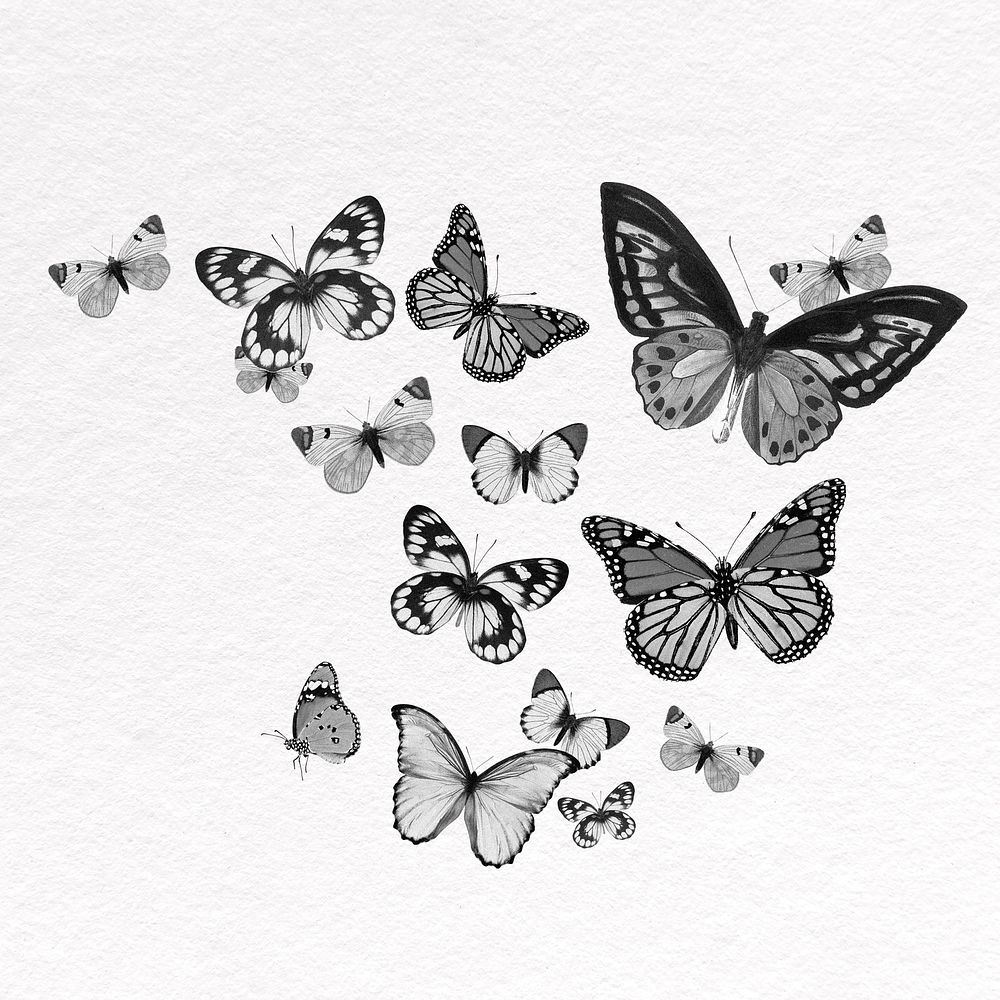 Freedom butterflies clipart, insect design, black and white