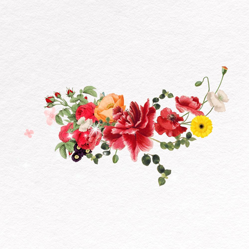 Red flower clipart, botanical illustration psd