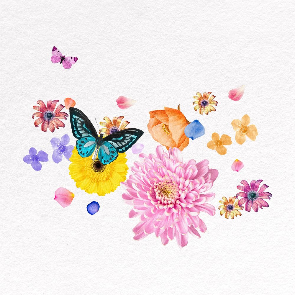 Flower & butterfly collage element, botanical illustration psd