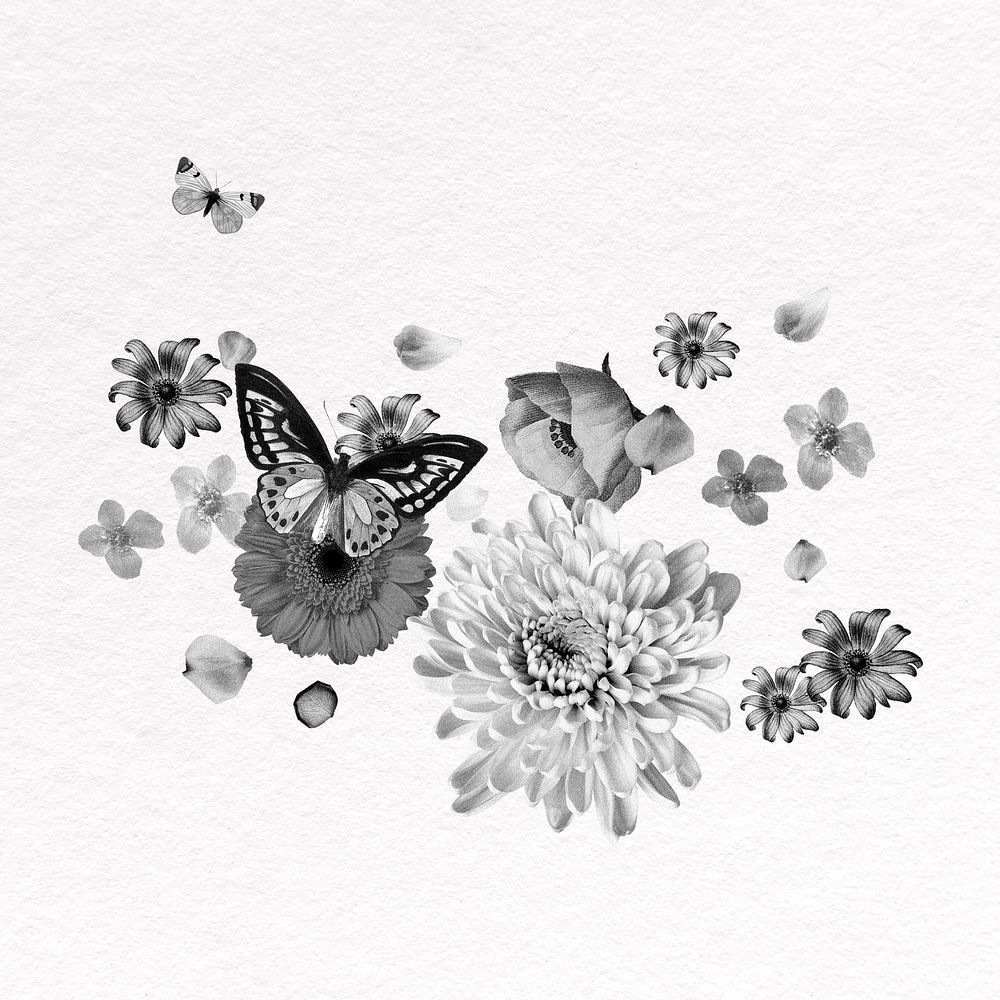 Flower & butterfly collage element, gray botanical illustration psd