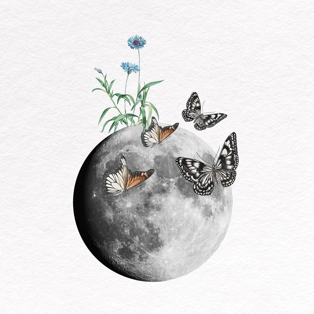 Moon & butterflies collage element, mixed media psd