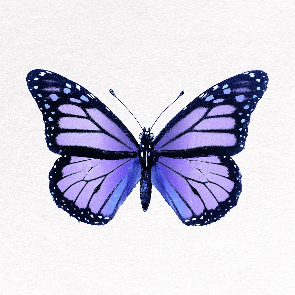 Aesthetic purple butterfly collage element, insect psd